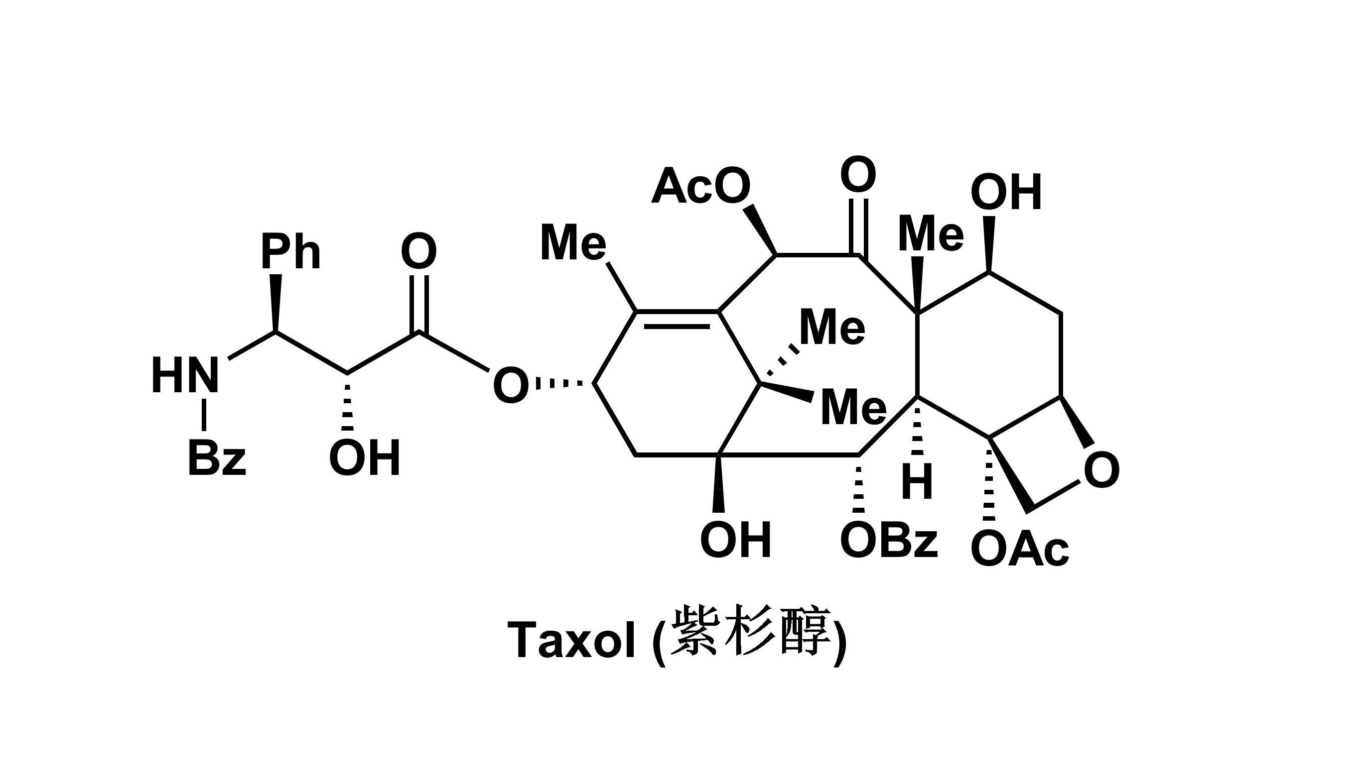 图1. 紫杉醇的结构_00.jpg